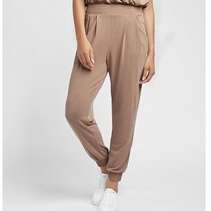 Express Super High Waisted Silky Sueded Joggers